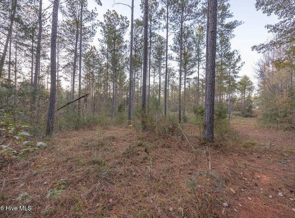 Barr Chapel Road, Edgefield, SC 29824