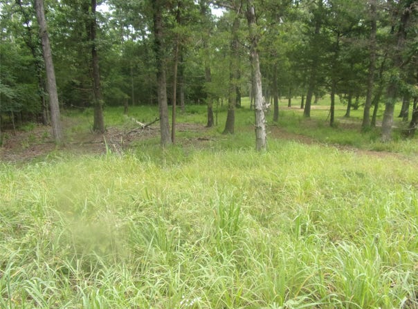 944 Whipporwill, Murchison, TX 75778