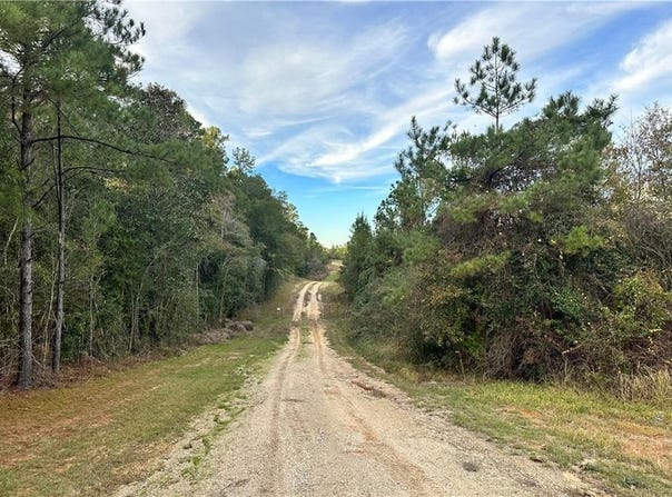 Lott Road, Chunchula, AL 36521