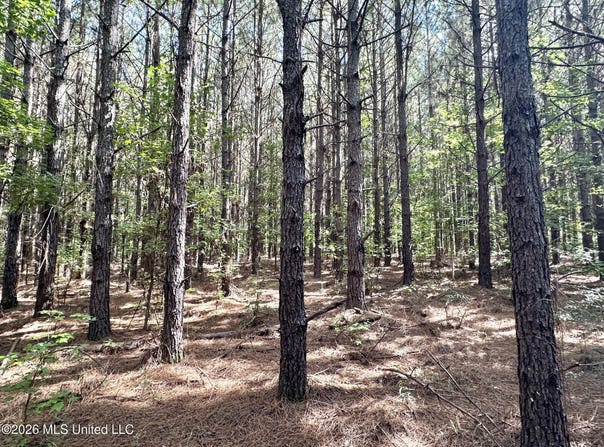 1 Dry Creek Road, Magee, MS 39111