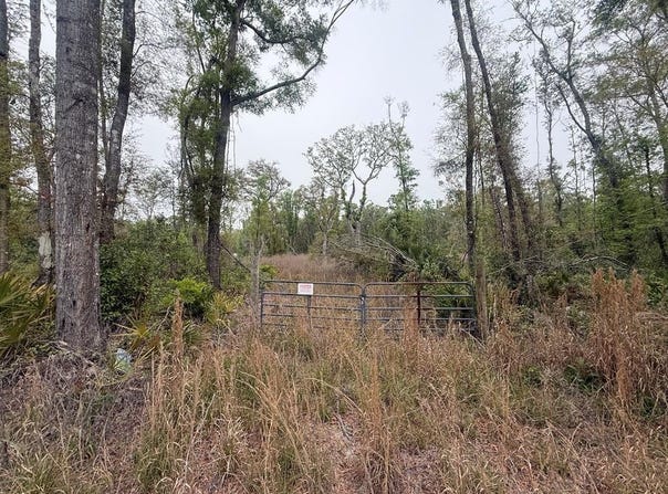 NE 355th Ave lot: 12, Old Town, FL 32680