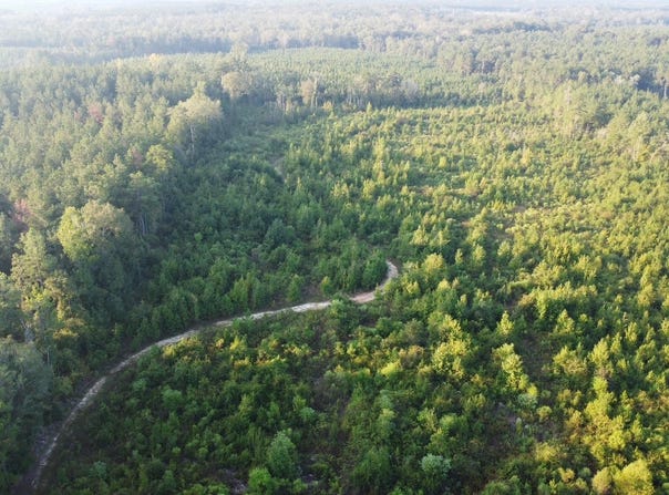 HORACE WILLIAMS ROAD, Chatham, LA 71226