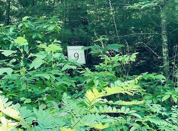 River Road Trace lot: 9, Franklin, NC 27516