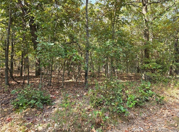 Araskog Drive, Edwards, MO 65326