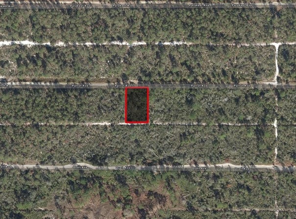 533 PARROT Avenue, SEBRING, FL 33872