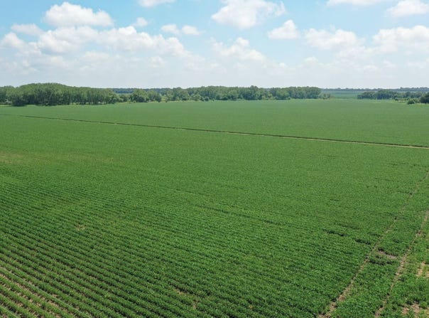 585 street, Fullerton, NE 68638