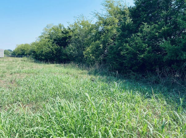 236 County Road 1450, Point, TX 75472