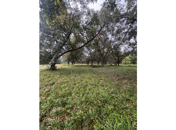Highway 65 lot: 4, Tallulah, LA 71282