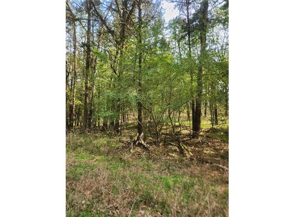 Lakeview lot: 7, Ozark, AR 72847