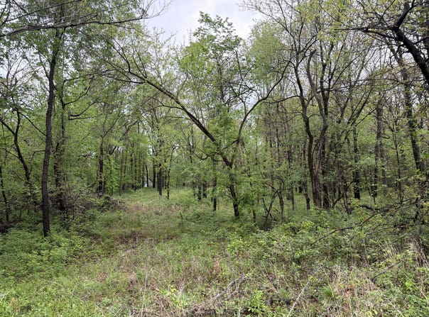 Tract 1 E Ivy Road, Carthage, MO 64836