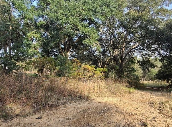 17105 SE 252ND Avenue, UMATILLA, FL 32784