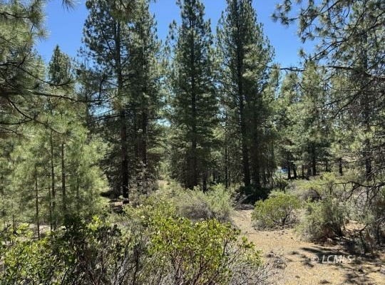 Friendship Drive, Chiloquin, OR 97624