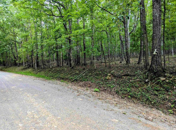 Cannady School Road, Floyd, VA 24091