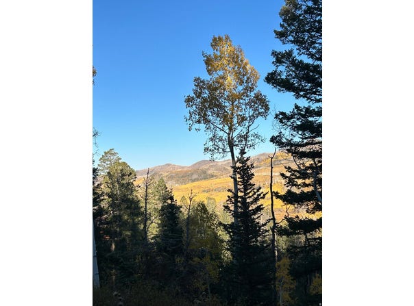 660 W SKI VIEW Dr, Brian Head, UT 84719