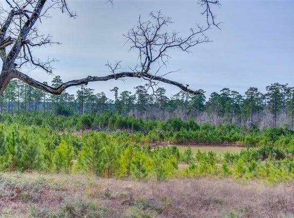 9422 FM 62, Corrigan, TX 75939