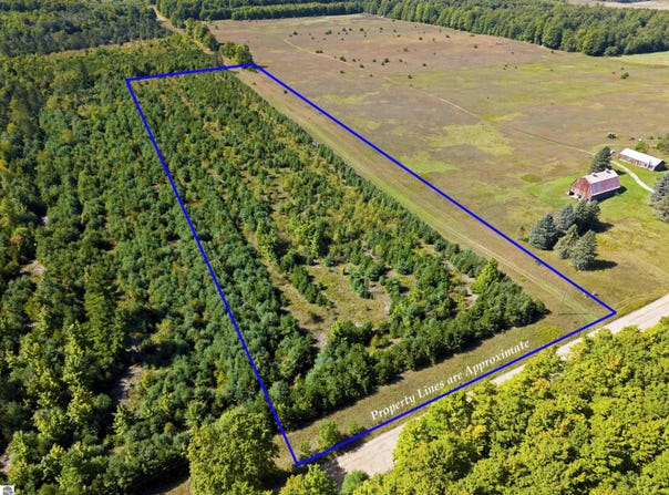 Shively Road, Fife Lake, MI 49633