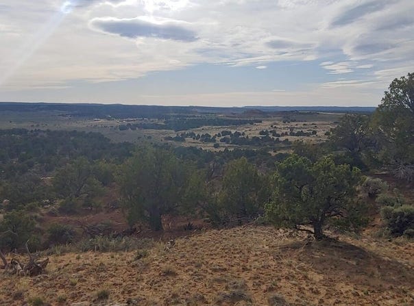 State Highway 595, Lindrith, NM 87029