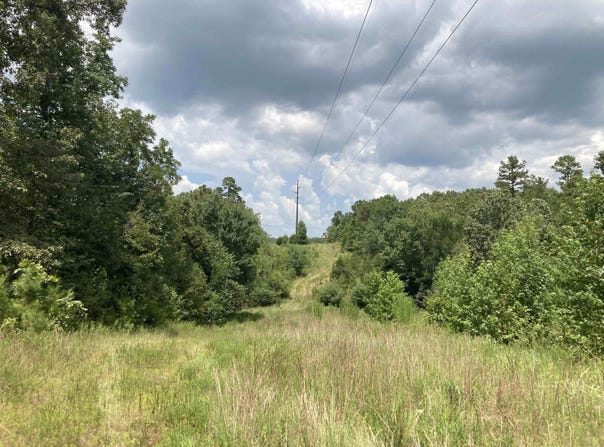 Polk Road 31, Cove, AR 71953