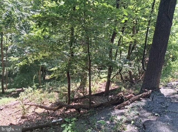 ROME BEAUTY Drive, LINDEN, VA 22642