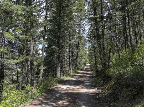 13275 Balsamroot Road, Lolo, MT 59847