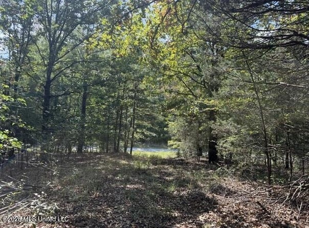 David Cove lot: 132, Byhalia, MS 38611