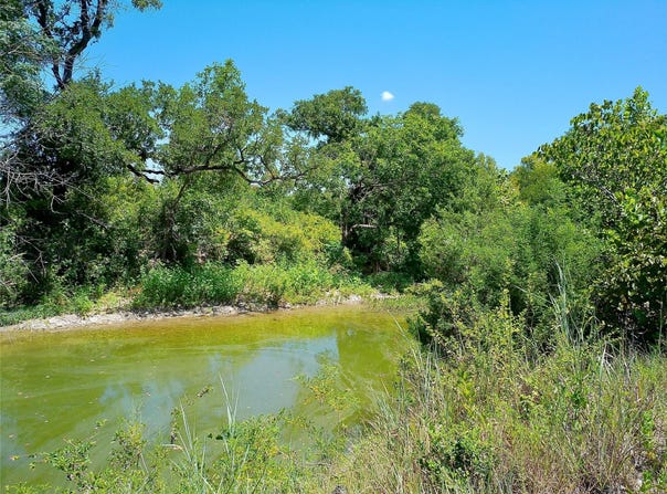204 Serenity Dr, Liberty Hill, TX 78642