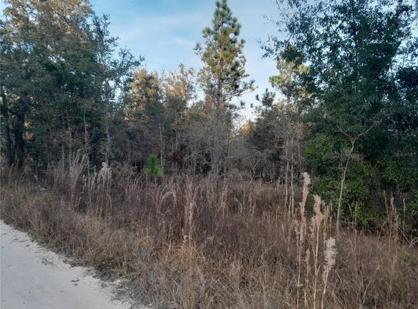 1531 NE 123RD AVENUE, WILLISTON, FL 32696