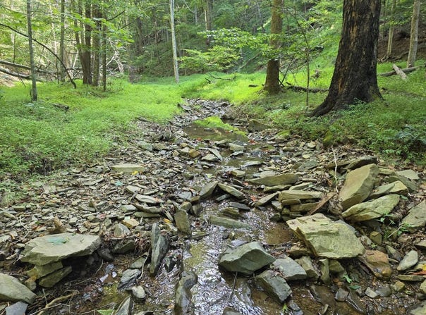 Two Brothers Rd., Lindside, WV 24951