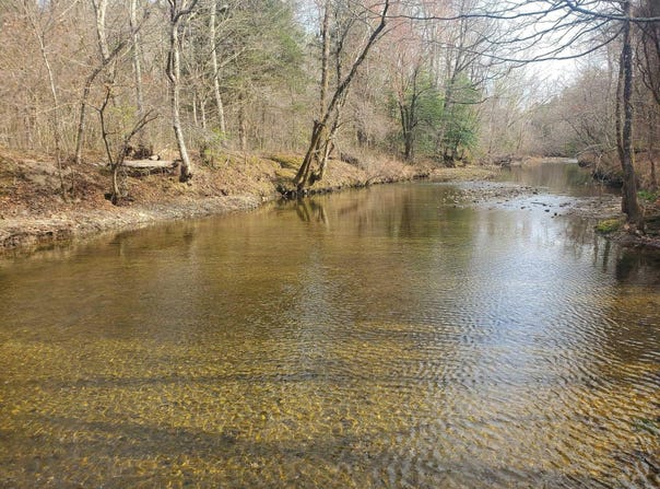 Kates Creek Road, Oden, AR 71961