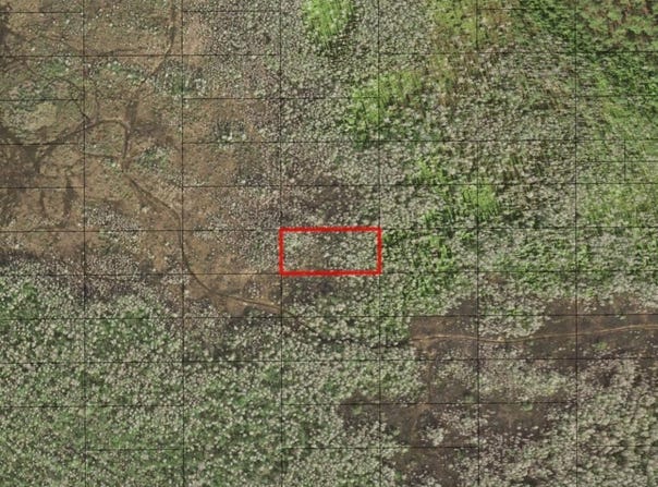 Holopaw Groves Road, St. Cloud, FL 34772