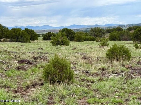 108 Co Rd 8127, Concho, AZ 85924