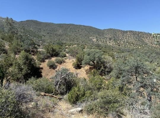 S Alpine St, Bodfish, CA 93205