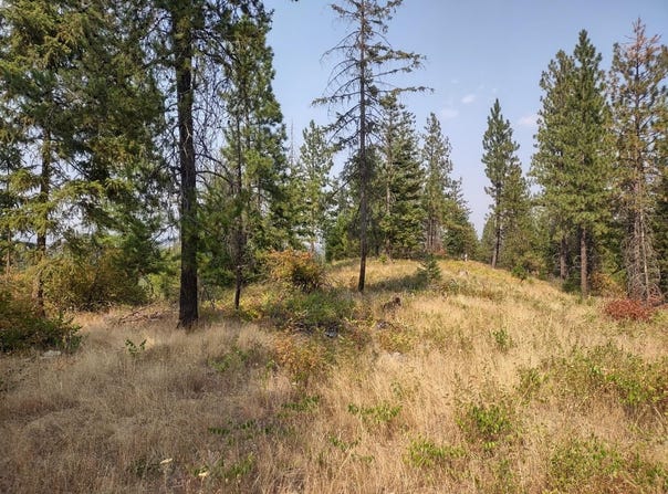 Lodgepole Ln, Elk, WA 99009