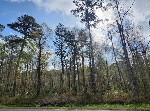37316 Reinninger Rd, Denham Springs, LA 70706