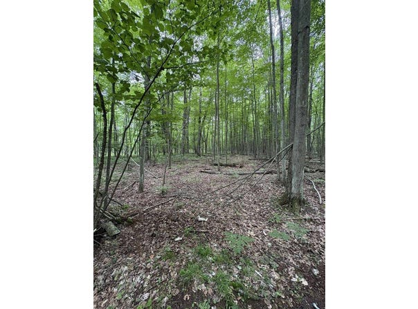 3680 Wieman Road, Beaverton, MI 48612