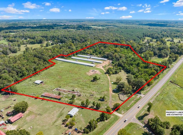 8534 State Highway 7 E, Joaquin, TX 75954-0000