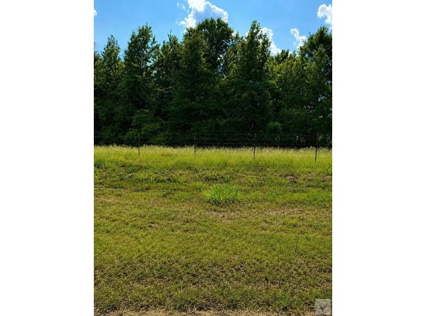 Tract 2 TBD FM 990, Simms, TX 75574