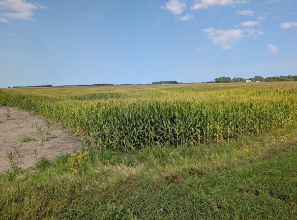 61203 150th St, Chokio, MN 56221