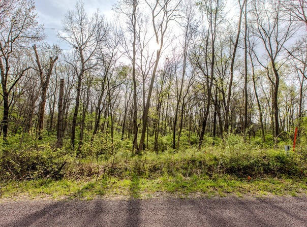 56,57 Summit Drive, Mackinaw, IL 61755