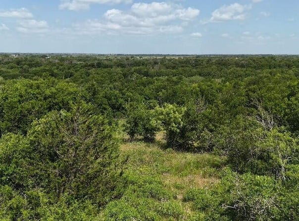 (OFF) HCR 3255, Mount Calm, TX 76673