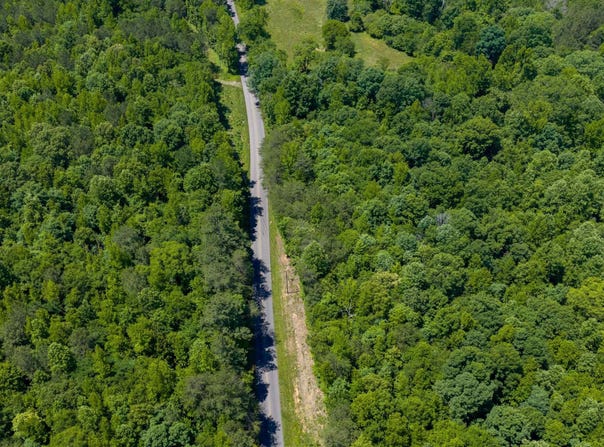 53 ACRES Beason Cove Road, Steele, AL 35987