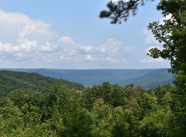 River Bend Road lot: 1232, Guild, TN 37340