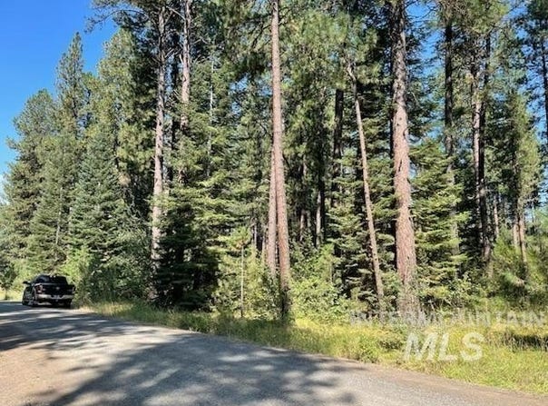 14 Black Bear Subdivision, New Meadows, ID 83654