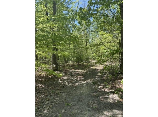 Davis Lane, Aroda, VA 22709