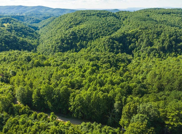 Sawmill Hill Road, Willis, VA 24380