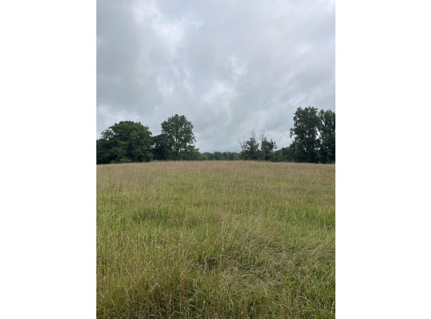 899 EL SMITH Rd S, Monroe, TN 38573
