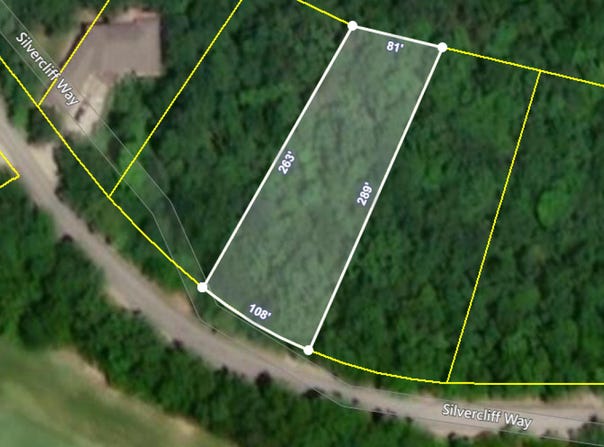 Silver Cliff Way, Branson West, MO 65737