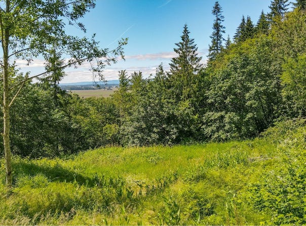 Columbia View Dr, Woodland, WA 98674