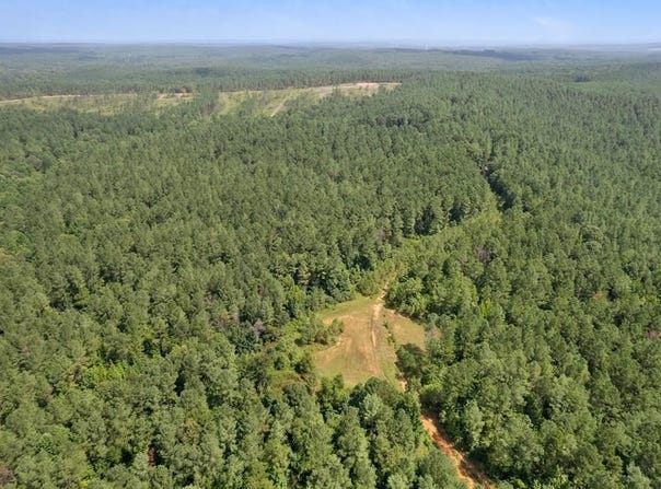 CR 428, PARIS, MS 38949