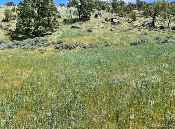 0 Big Sky, Tehachapi, CA 93561
